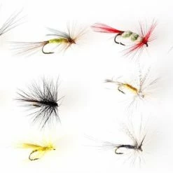 Fish Life Vlieg Vissen Set - Kunstaas Vliegen - 64 Stuks - Vliegaas Set - Forel Lokaas - Met Doos - 16 X 10.5 X 6 CM 9 Fish Life Vlieg Vissen Set - Kunstaas Vliegen - 64 Stuks - Vliegaas Set - Forel Lokaas - Met Doos - 16 X 10.5 X 6 CM -Mushie winkel 550x298