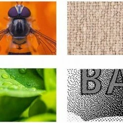 Iso Trade Digitale Microscoop Camera 2 Megapixel - USB 3.0 - Leerzaam Speelgoed - 1600x Zoom 43 Iso Trade Digitale Microscoop Camera 2 Megapixel - USB 3.0 - Leerzaam Speelgoed - 1600x Zoom -Mushie winkel 550x392 3