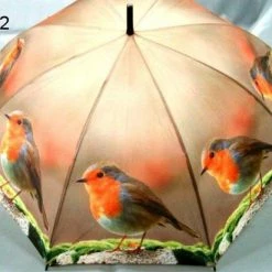 Geharo Paraplu Roodborstje