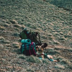 LOWLAND OUTDOOR® Donzen Slaapzak - Super Compact Blanket - 210 X 80 Cm - 590gr +8°C 21 LOWLAND OUTDOOR® Donzen Slaapzak - Super Compact Blanket - 210 X 80 Cm - 590gr +8°C -Mushie winkel 550x548 8