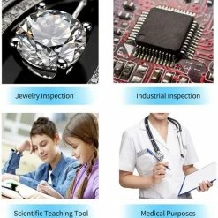 Colony Group - Digitale USB Microscoop - Microscoop Camera - 50-1600 X Vegroting Met 8x LED Verlichting 13 Colony Group - Digitale USB Microscoop - Microscoop Camera - 50-1600 X Vegroting Met 8x LED Verlichting -Mushie winkel 550x569 6